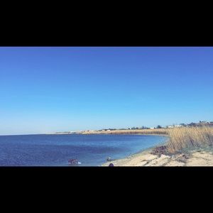 Meet your Posher, Josephine